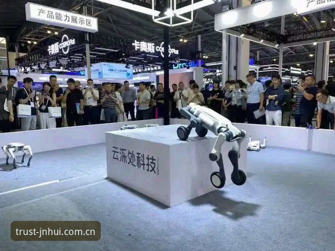 资深用户揭秘：金年汇体育平台安全体验与使用心得，2025实战经验分享